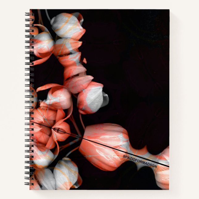 "White heart in black from sun" Notebook (Front)