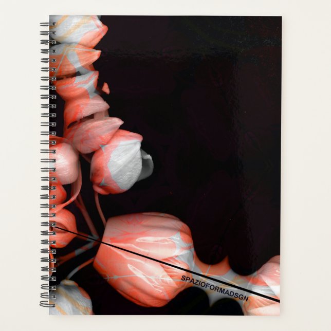 "White heart in black from sun" Planner (Front)