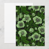 White Hellebores with leaves (Front/Back)