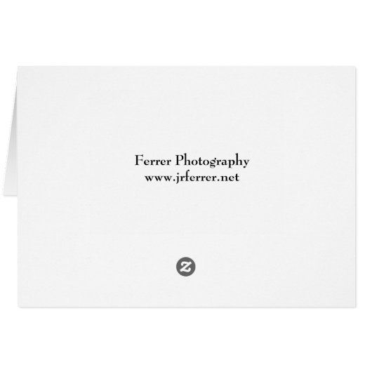 White Heron (Back Horizontal)