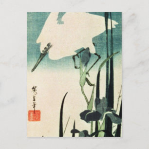 White Heron and Iris Postcard