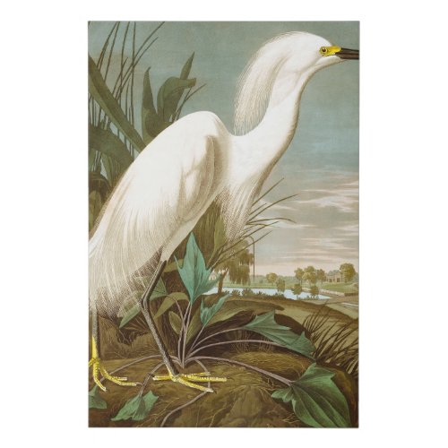 White Heron by John James Audubon Faux Canvas Print