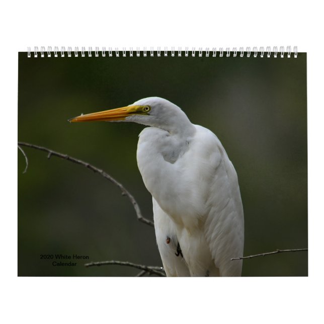 White heron calendar 2020 (Cover)