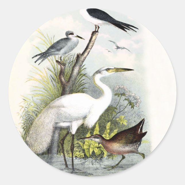White Heron Classic Round Sticker (Front)