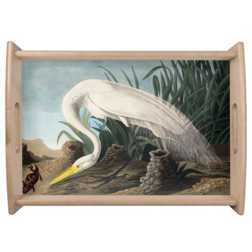 White Heron from Birds of America Serving Tray