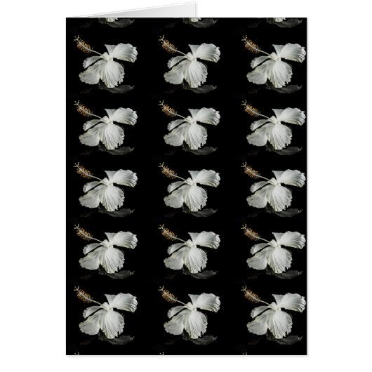 White Hibiscus Flower Side View Cards (Front)