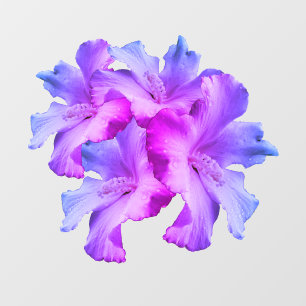 White Hibiscus Flowers Bouquet Tinted Wall Decal