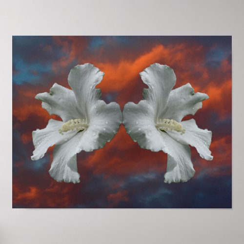 White Hibiscus Flowers On Dramatic Sky Poster