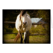 White Horse (Front Horizontal)