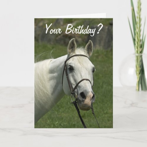 White Horse Birthday Card