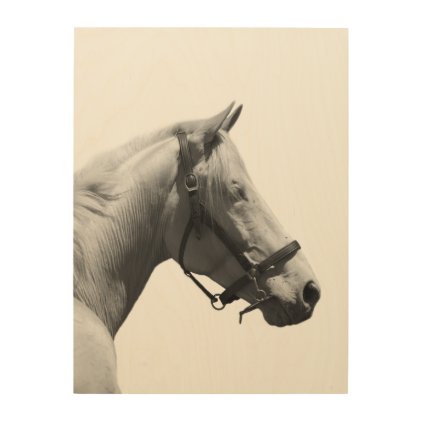 White horse black and white photography wood wall art