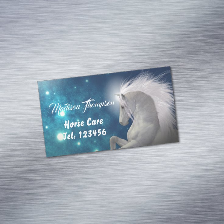 White Horse Blue Skies Animal Care Business Card Zazzle