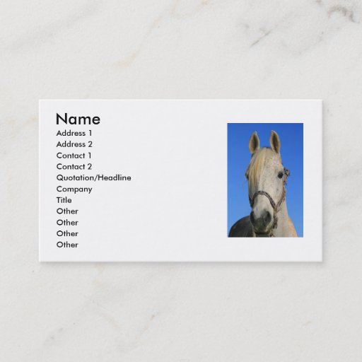 Customizable White Horse Business Card