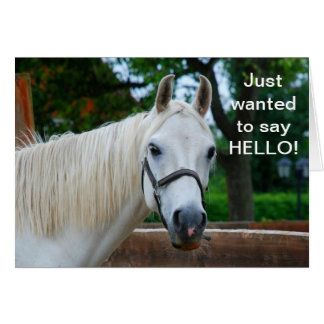 White Horse Cards