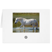 WHITE HORSE CARDS (Back Horizontal)