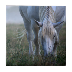White Horse Ceramic Tile