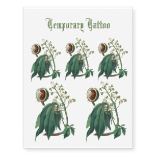 White horse-chestnut flowers antique illustration temporary tattoos