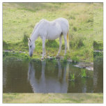 White Horse Drinking Water Fabric