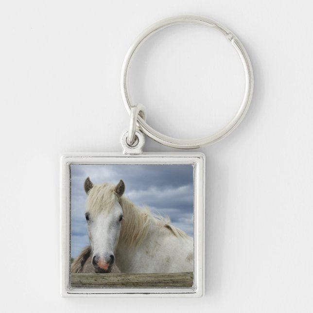 White Horse | France Keychain (Front)