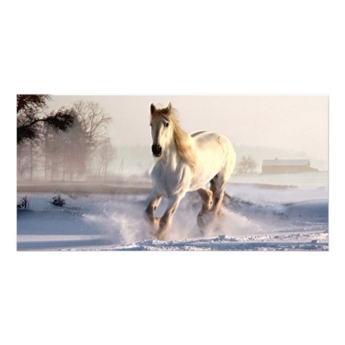 White Horse Galloping Through the Winter Snow Card