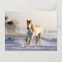 White Horse Galloping Through the Winter Snow Postcard