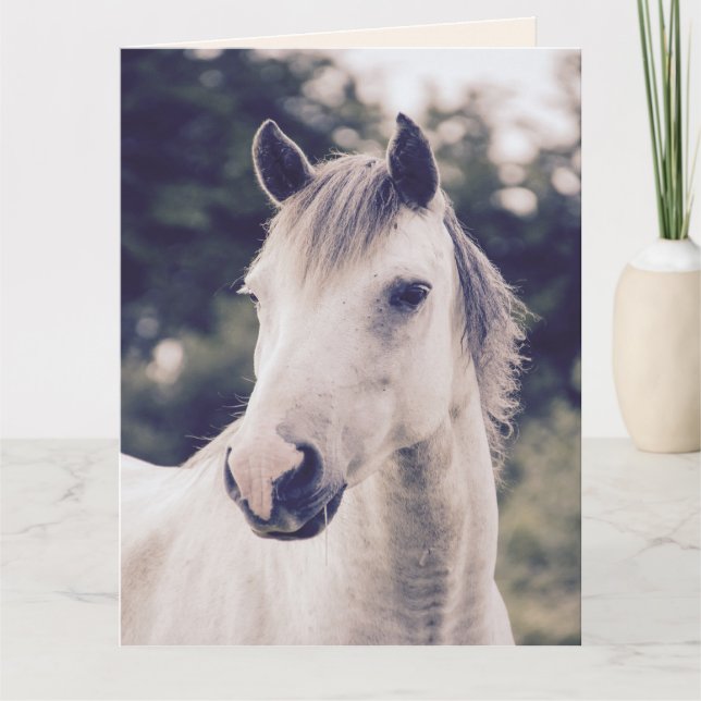 WHITE HORSE GET WELL SOON Greeting Cards (Front)