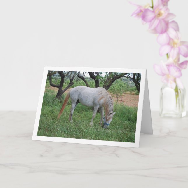 White Horse Grazing in Grass Field Card (Orchid)