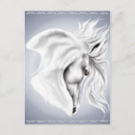 White Horse Head Post Card