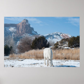 White Horse in a Winter Field Poster