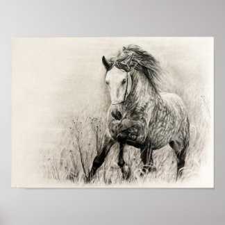 White horse in charcoal poster