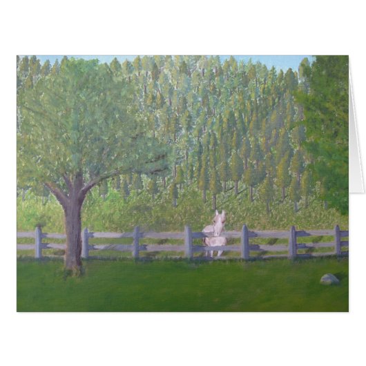 White Horse in Field (Front Horizontal)