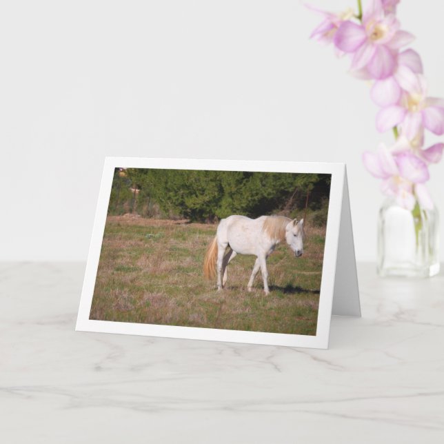 White Horse in Field Card (Orchid)