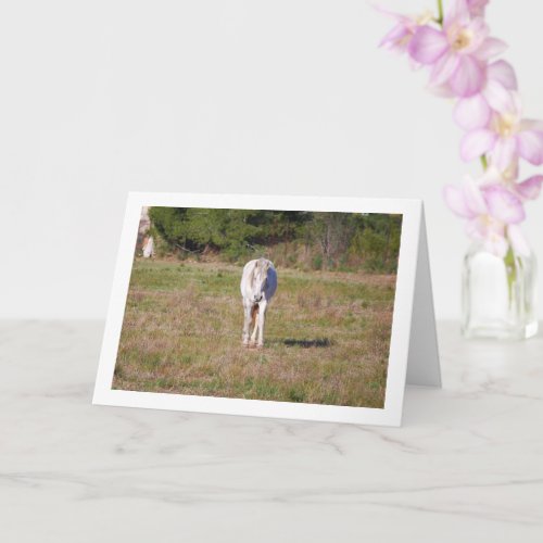 White Horse in Field Card