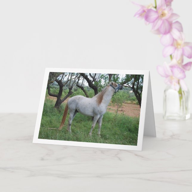 White Horse in Grass Field Card (Orchid)