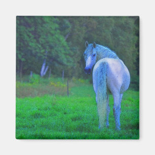 White Horse in Moonlight Magnetic Art Gift Magnet