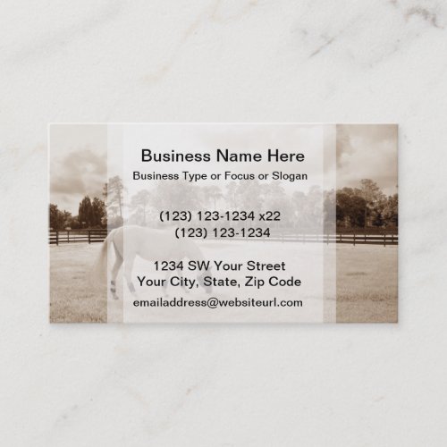 white horse in pasture grazing sepia business card