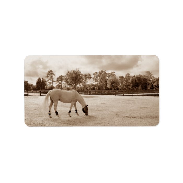 white horse in pasture grazing sepia personalized address label