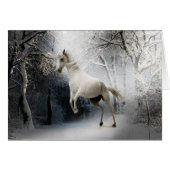 White Horse in Snow (Front Horizontal)