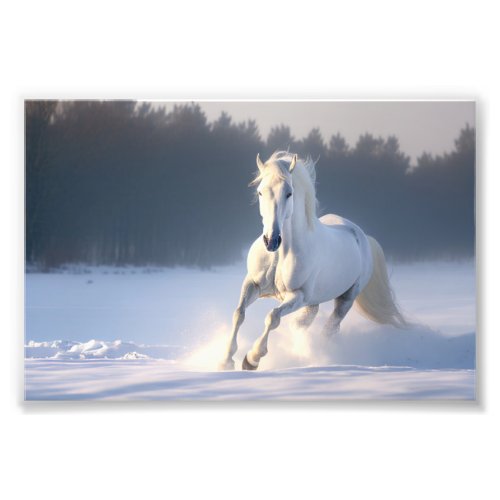 White Horse in Snow Horses Winter Photo Print