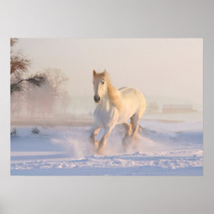 white horse in snow poster