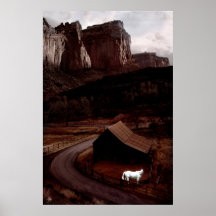 White Horse in the Utah Canyonlands Poster