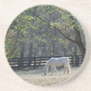 White Horse in trees Drink Coaster