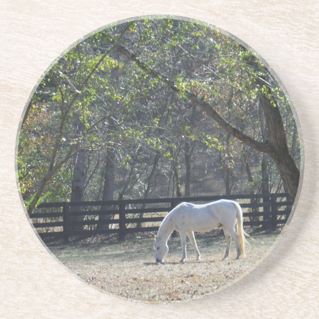 White Horse in trees Drink Coaster (Front)