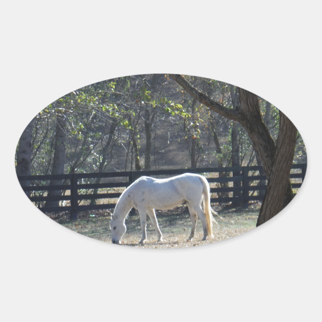 White Horse in trees Oval Sticker (Front)