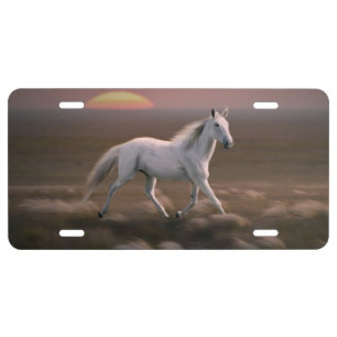 White horse license plate