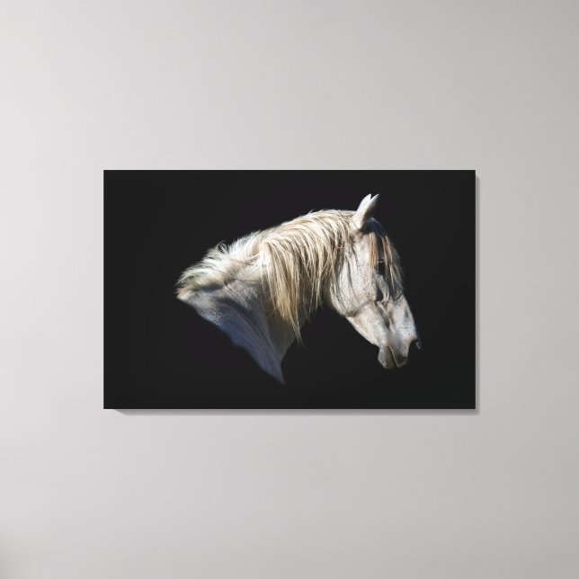 White Horse-Lover Equine Photo Canvas (Front)