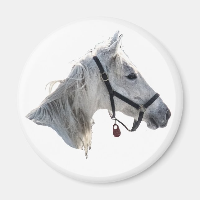 White Horse Magnet (Front)