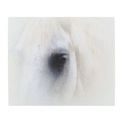 White horse metal print