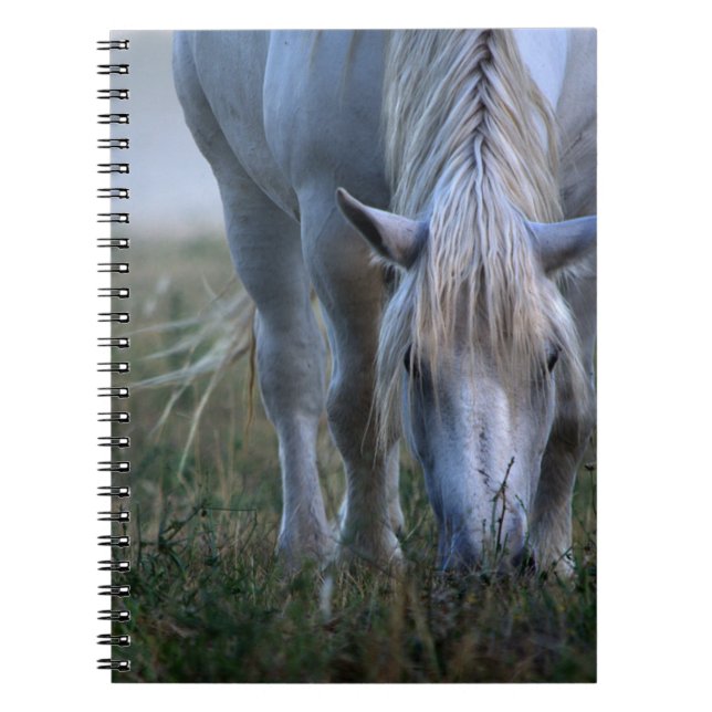 White Horse Notebook (Front)