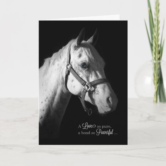 White Horse on Black Loss of a Horse Pet Sympathy Card (Front)